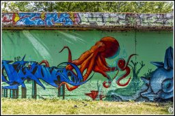 chambery - street art -63